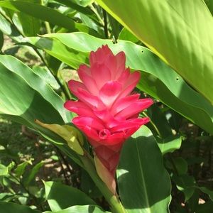 Meet your Posher, Rhonda